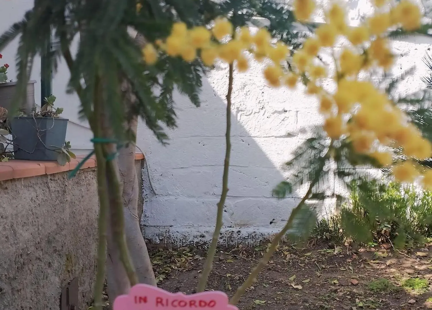 Appartamento Nel Giardino Di Nunziatina Syracuse