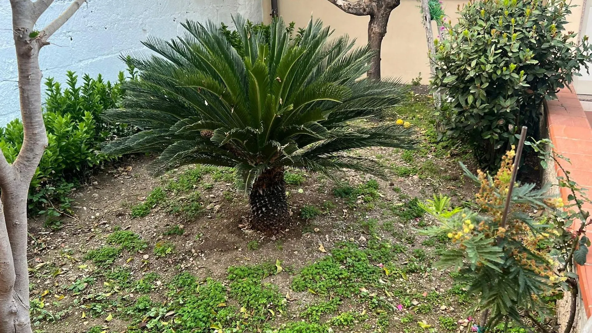 Appartamento Nel Giardino Di Nunziatina Syracuse 0*,  Italia